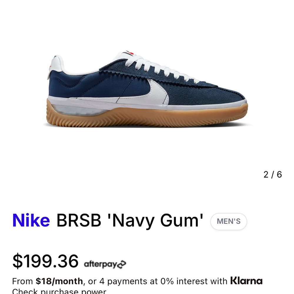 Nike BRSB Blue and White Sneaker